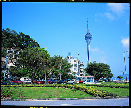 soi cau bach thu sieu chuan
