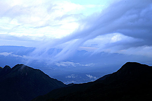 bach thu lo mien phi