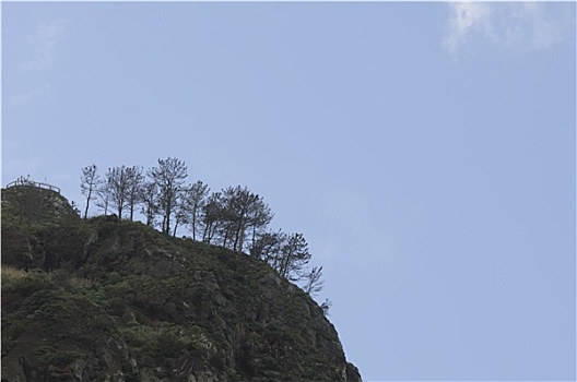 soi cau bac