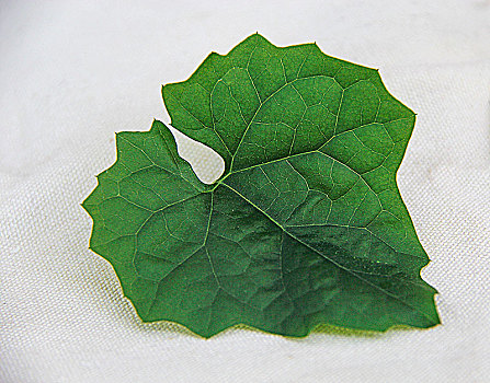 xo số miền nam