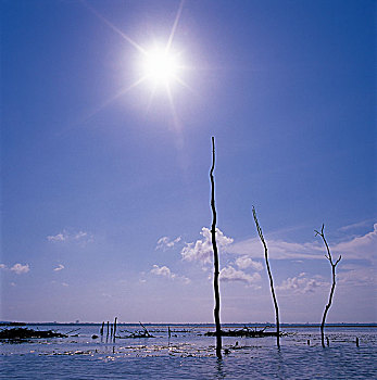 xo so miễn bác hom nay