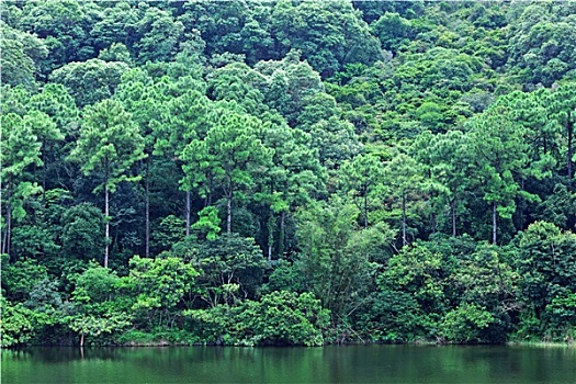 bach thu kep hom nay
