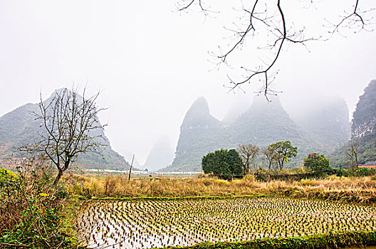 xô so