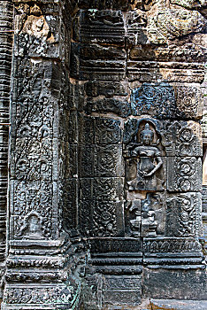 soi cau xo so dong nai