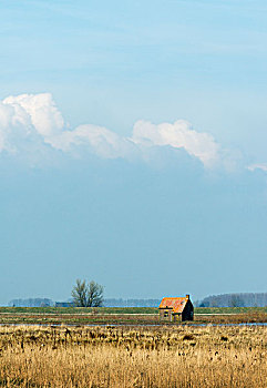 soi cầu misa