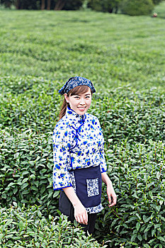 xổ số miền bắc
