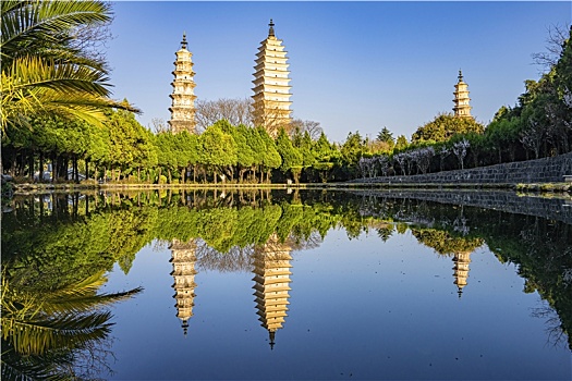 soi cau hau giang