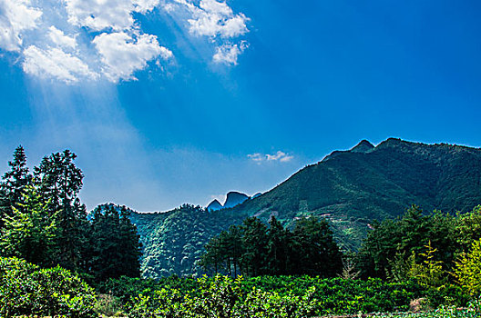trang web đánh lô đề uy tín