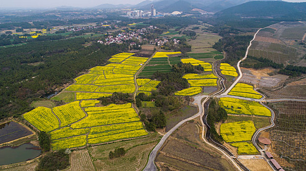 soi cầu bạch thủ 555