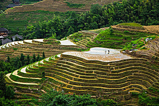 xổ số tiền