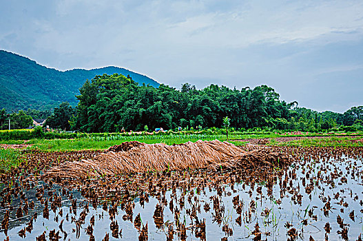 xs hậu giang