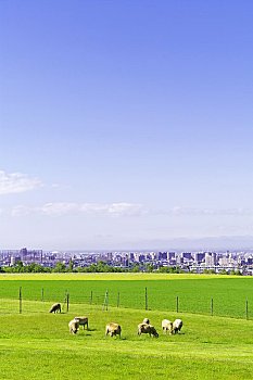 soi cầu miền bắc ngày hôm nay