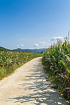 kết quả lô đề