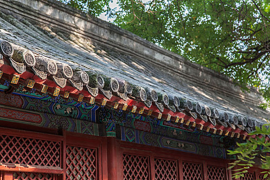 bạch thủ ngày hôm nay