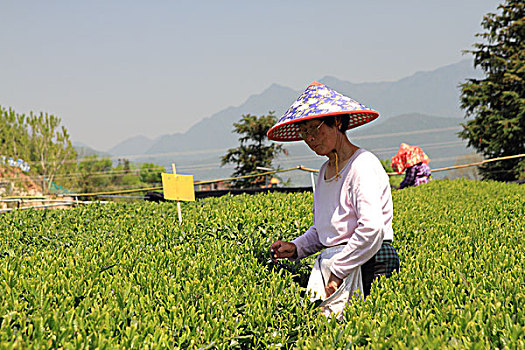du doan xo so mien nam hom nay