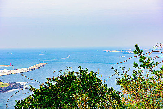 soi cau 6666
