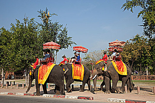 sốmiennam