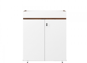 TỦ TÀI LIỆU LUXURY LUX1000-2T2